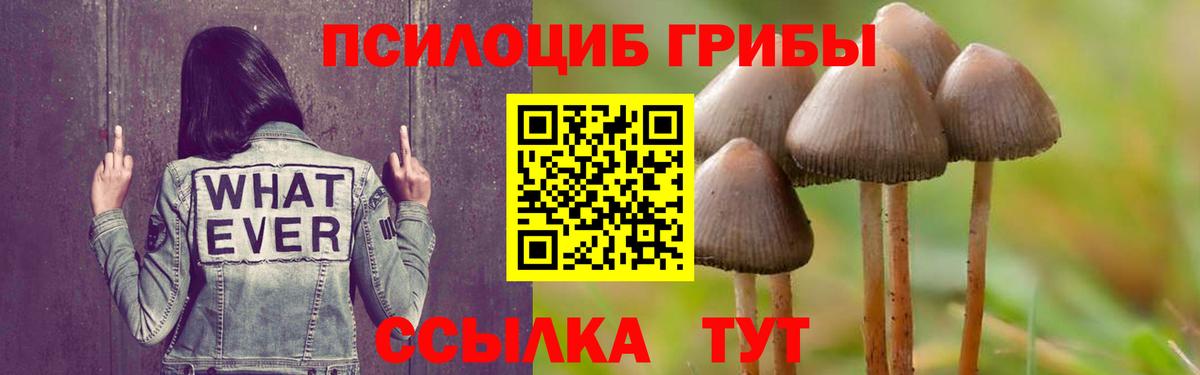 Лесной  Галлюциногенные грибы Magic Shrooms  Вход с VPN 
